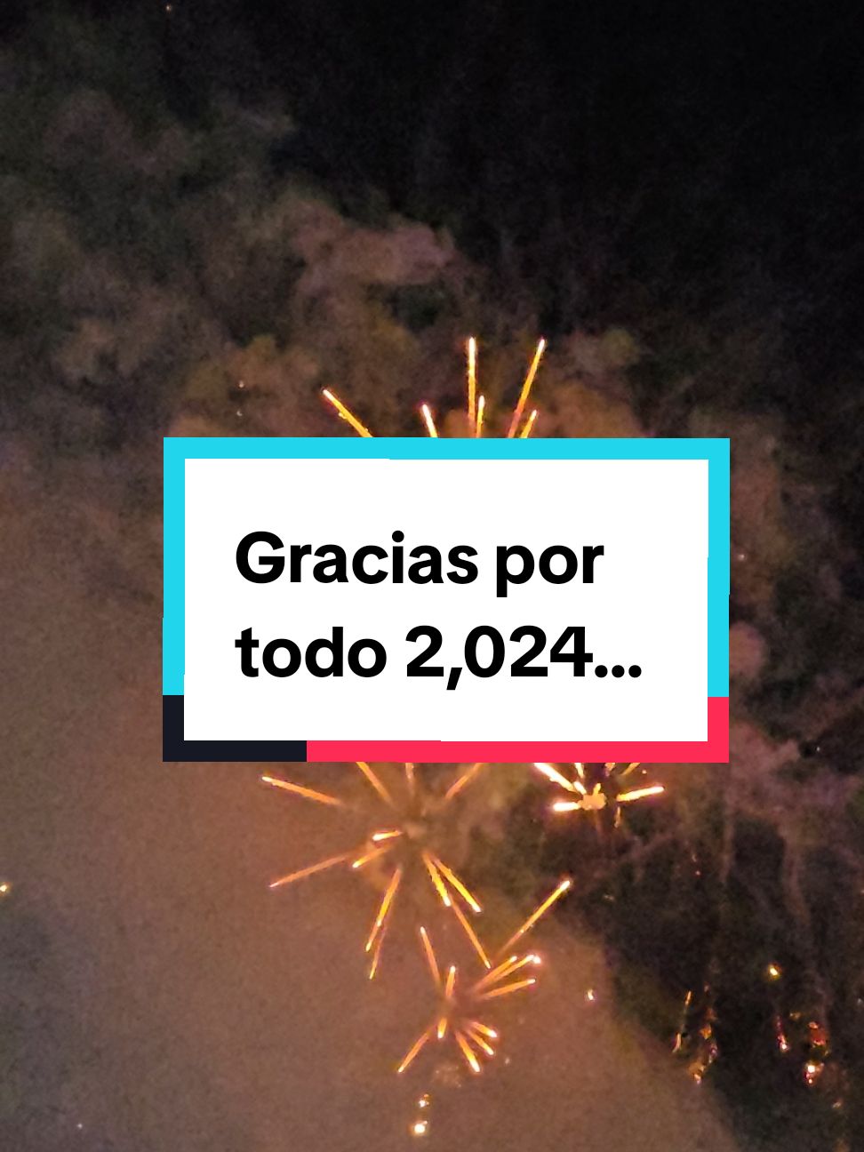 Gracias por todo 2,024✨️ Feliz año nuevo mis amig@s tiktokeros❤️ Gracias por un año increíble de apoyo a mi página 🙌🏻Dios los bendiga siempre🙏🏻 #fyp #fypシ #fypシ゚viral #gracias #bendiciones #paz #amor #happynewyear #2025 