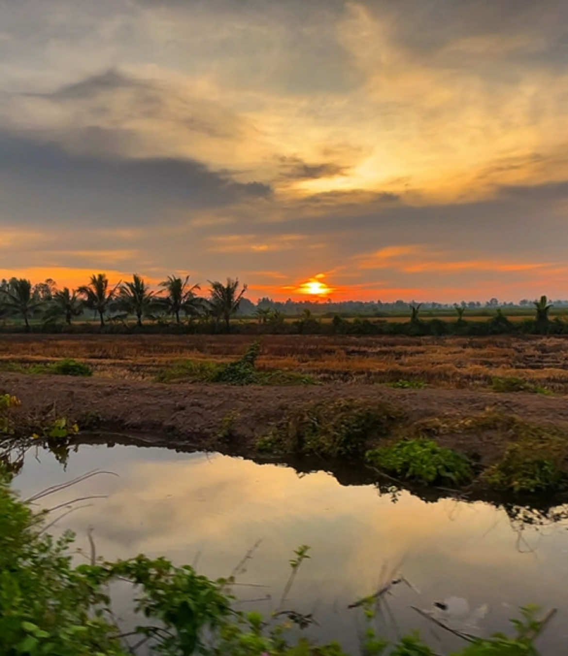 Cảnh đẹp mà buồn quá ☺️#canhchillvungque🌾 #canhdep #canhdepthiennhien #chill #tamtrang #buồn #hoanghon 