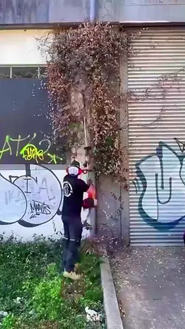 the last video is Perfect#anima #clean #cleanhome #cleaningtiktok #for #fyp #art #cleaning #clean 