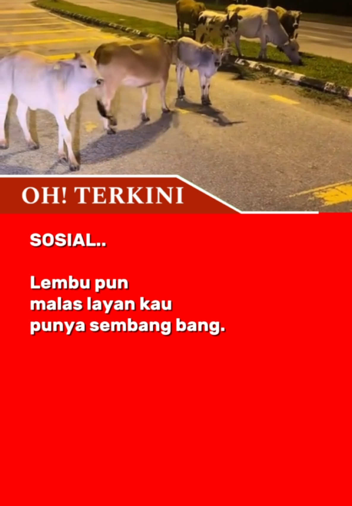 🤭🤭  #sembang #sosial 