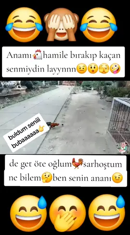 #keserdonersapdonergungelirhesapdoner #zamanindayediginhurmalar #tiktokkesfetecikar #creatorsearchinsights #fypage #KafaKafaya #fyp #nelandnathstietheledger #
