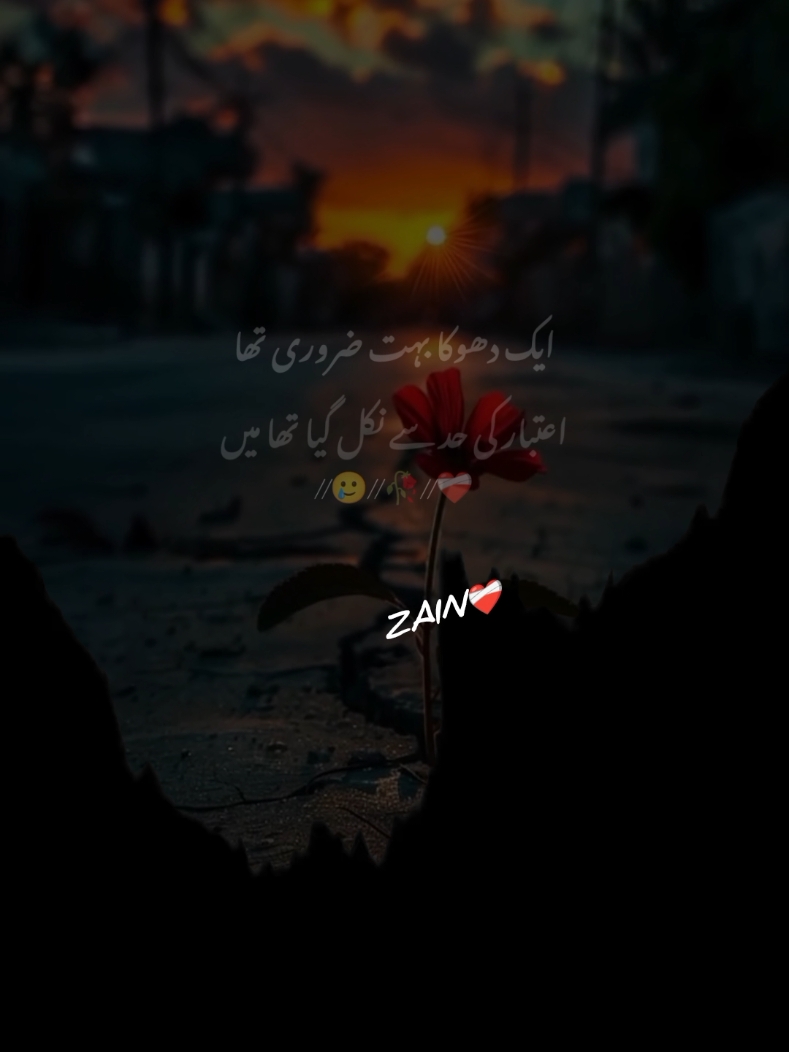 #zain_porty_03 #urdupoetry #urdupoetry #urdushayari #blackscreenstatus #viralvideo #fypシ #viralaccount #unfrezzmyaccount #growmyaccount #foryoupage #tiktok