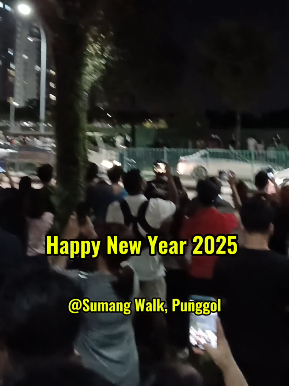 Fireworks @ Sumang Walk, Punggol #fireworks #newyear2025 #punggolfireworks #fireworkssingapore2025