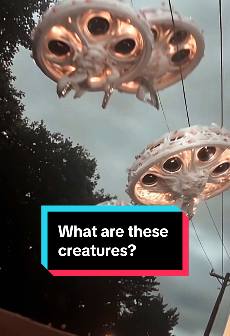 What are these creatures?  #uap #plasmoid #ufo #ufosighting #drone #orbs #caughtoncamera #caughtonvideo #alien #sighting #cryptid #thrones #ophanim #seraphim #creatures  