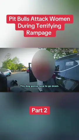 Pit Bulls Attack Women During Terrifying Rampage Part 2 #fyp #cops #copsoftiktok 