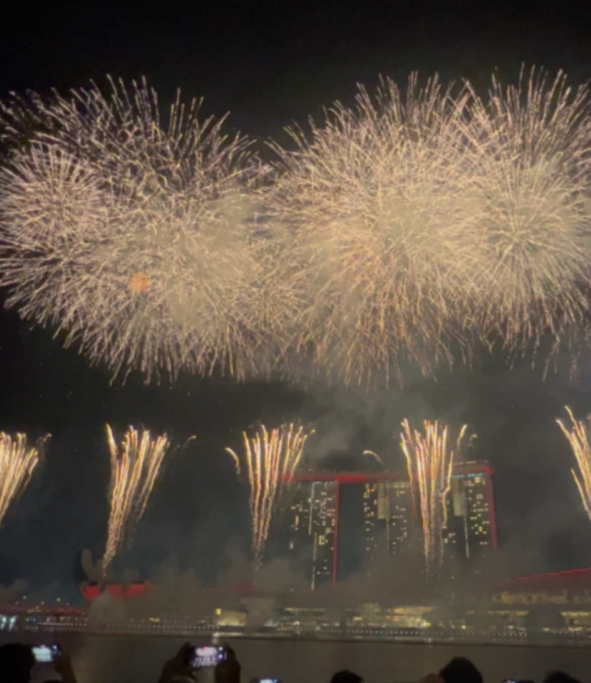 New Year 2025 - Singapore  #newyear #2025 #singapore #fireworks #fyp 