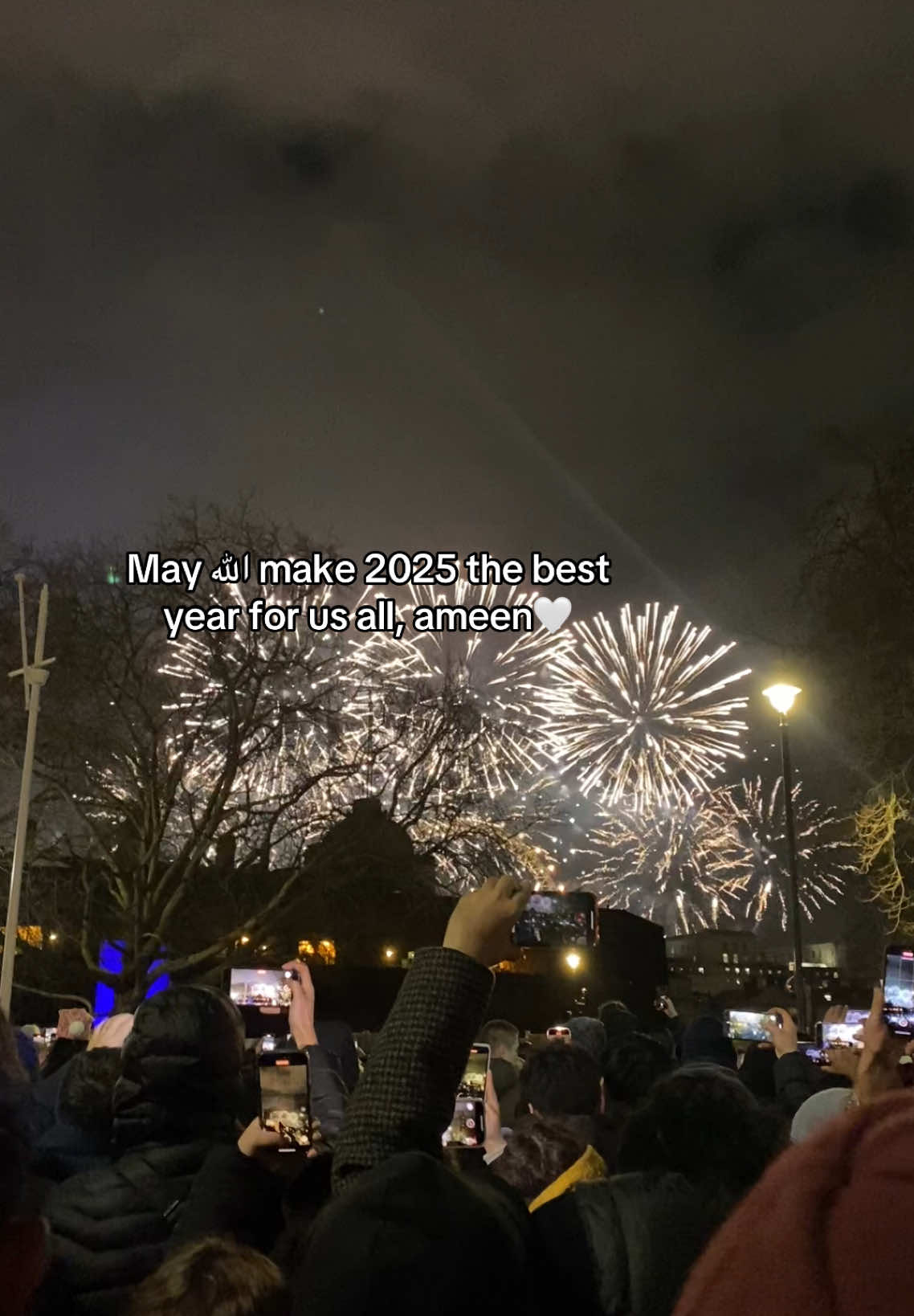 #foryoupage #fyp #fypシ #newyearsfireworks #newyears #2025 