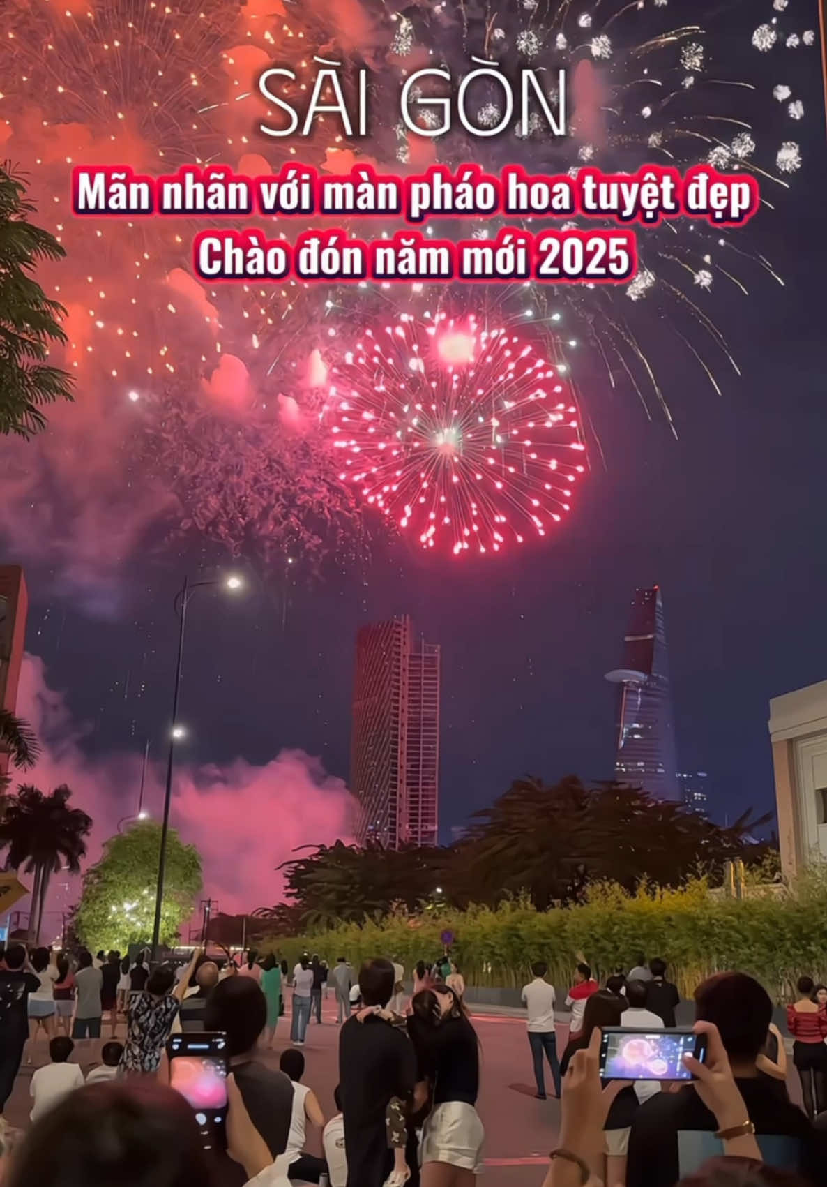 Mãn nhãn với màn pháo hoa tuyệt đẹp chào đón năm mới 2025 #lacasaigon #saigon #phaohoa #tet2025 #phaohoa2025 #xuhuong #fyb 