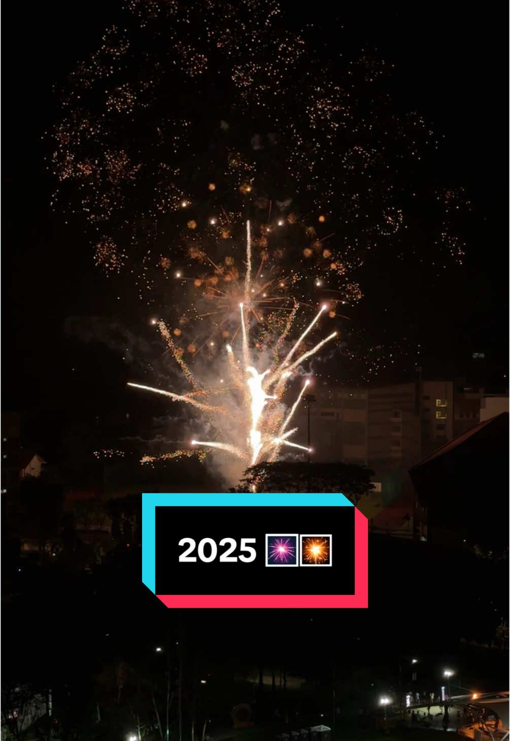 New kind of fireworks that goes in all directions? #hello2025 #countdown #firework #countdown2025 #newyear #singapore🇸🇬 #fireworkshow #sgtiktok #bishan 