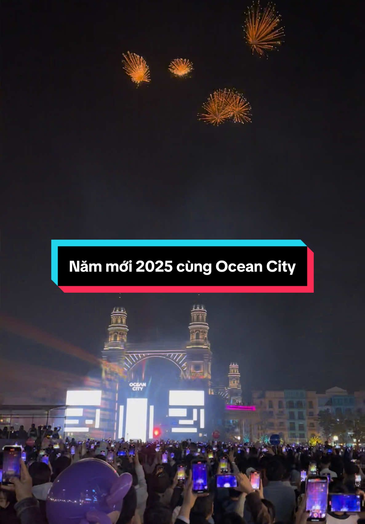 Chào đón năm mới 2025 cùng Ocean City🎆 #nammoi #countdown #oceancity #2025#vinhomesoceanpark3 