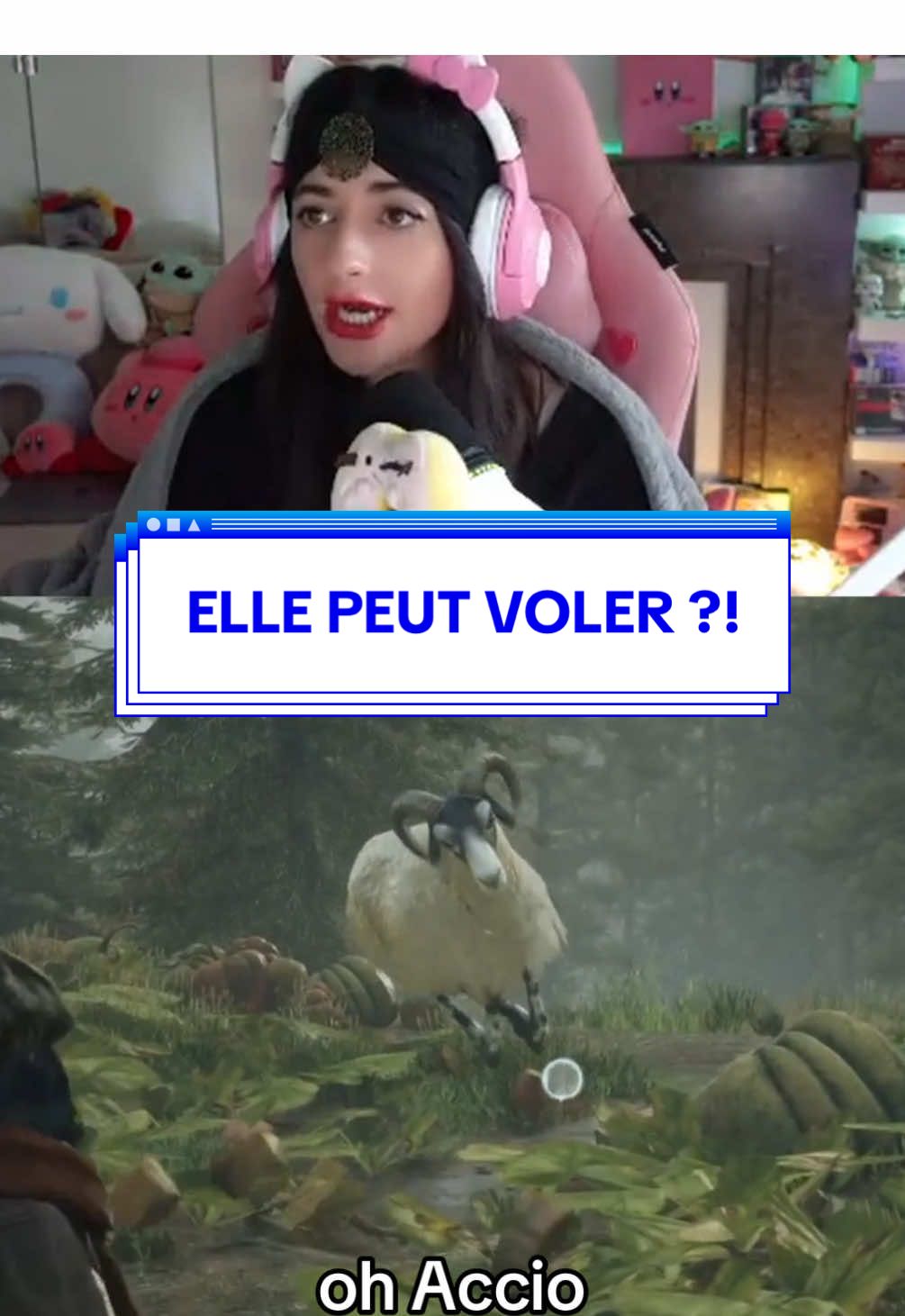 On se sera tapé de grosses barres sur ce jeu vidéo 🥲 #hogwartslegacy #GamingOnTikTok #rire 