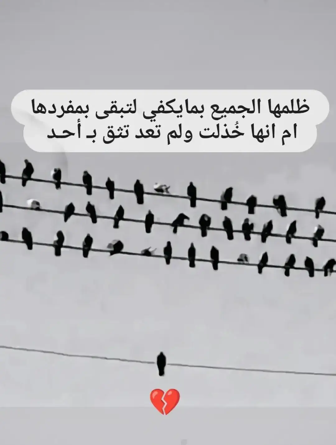 #شمدريني_بس_هــيـــــــٓــج💔🥺 #“على حافة الصمت، جلس وحيدًا يحمل همومه تحت ضوء القمر، كأن الليل قد احتضن حزنه لينصت لأنينه.”🖤