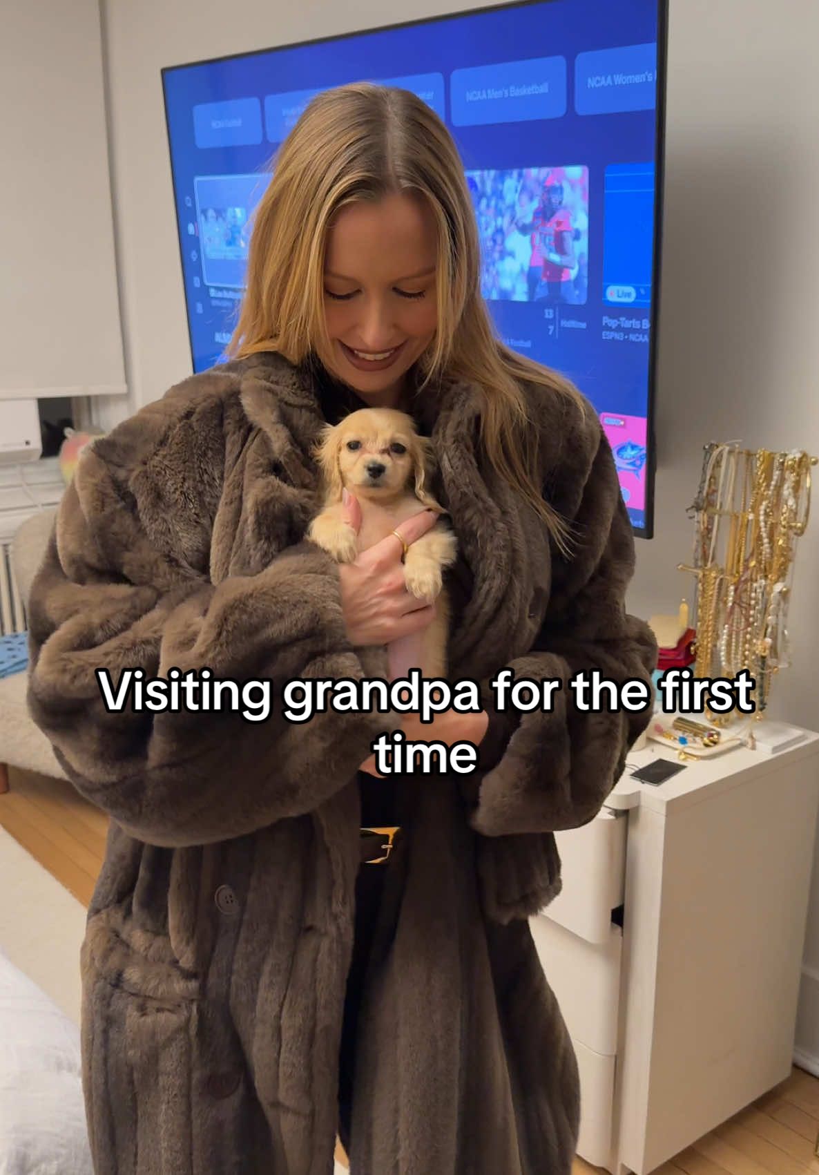 I’m Grandpa’s favorite #dog #puppy #dachshund #dachshundsoftiktok #grandpa #funny #comedy #christmas 