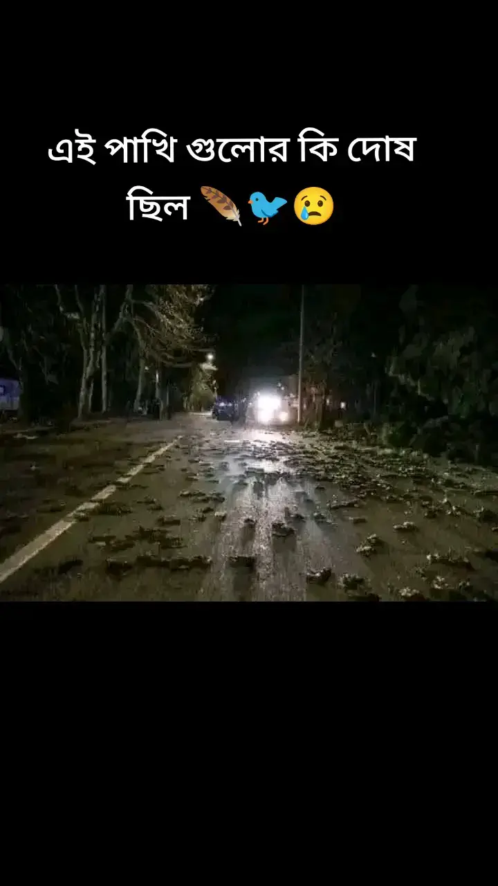 নতুন বছরে নিজে ভালো থাকি, অন্যকেও ভালো রাখি! সকলের জীবনে ২০২৫ নিয়ে আসুক সমৃদ্ধি ও সম্প্রীতি। Happy New Year 2025! #happynewyear2025 