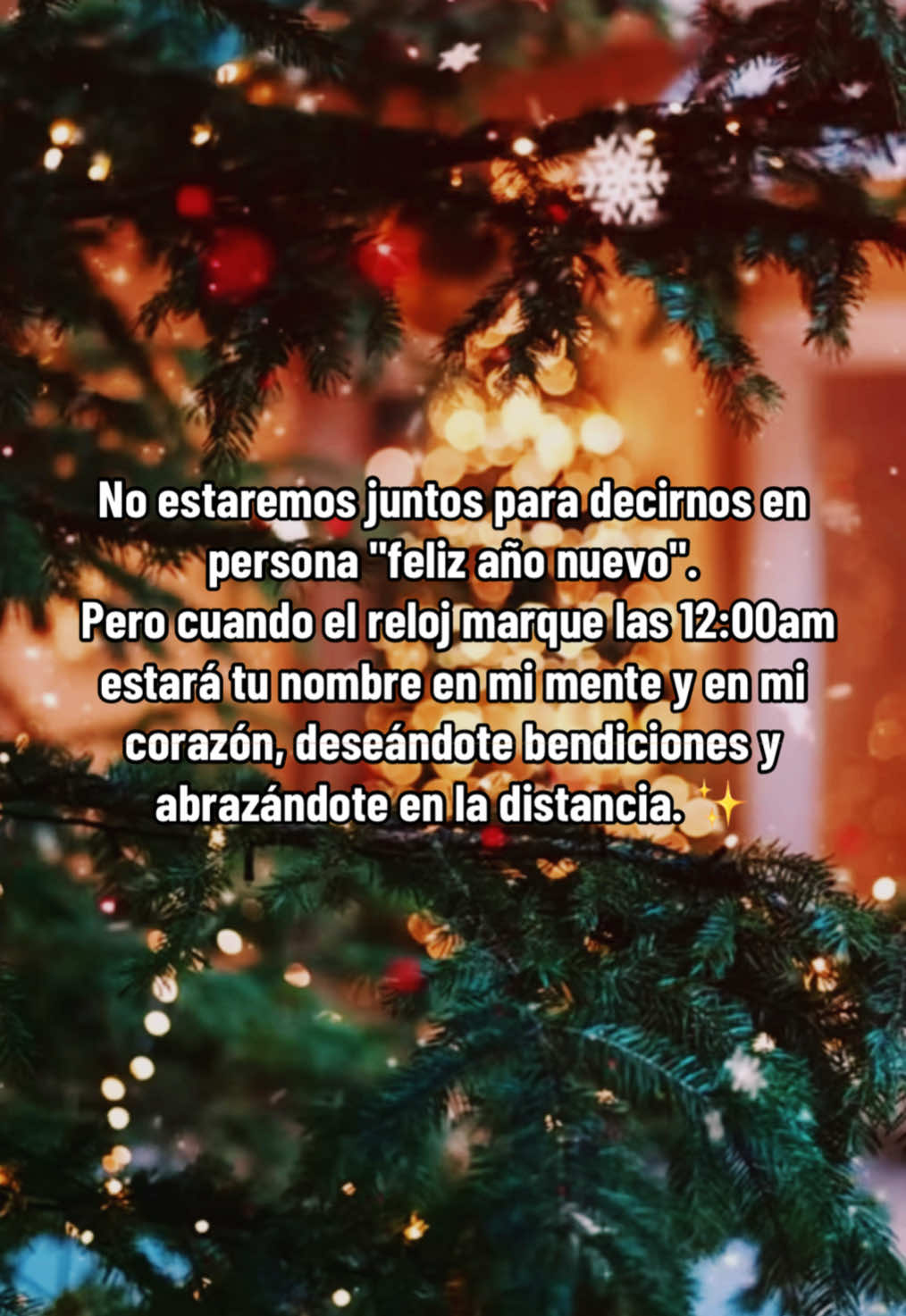 No estaremos juntos para desearnos en persona #felizañonuevo 🥺 #fyp #viralvideo #nflores13 #duet #trending #foryoupage #like #aesthetic #tiktok #sad #triste #distancia #usa #mex 