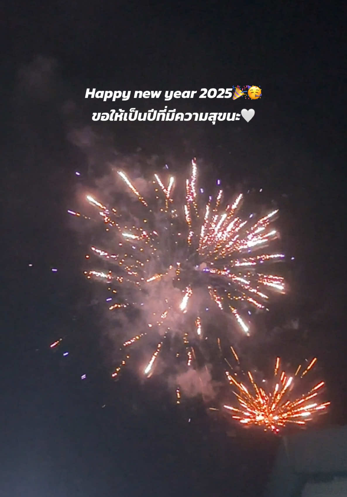 Happy new year 2025🎉🥳 ขอให้เป็นปีที่มีแต่ความสุข #happynewyear #สวัสดีปีใหม่ 