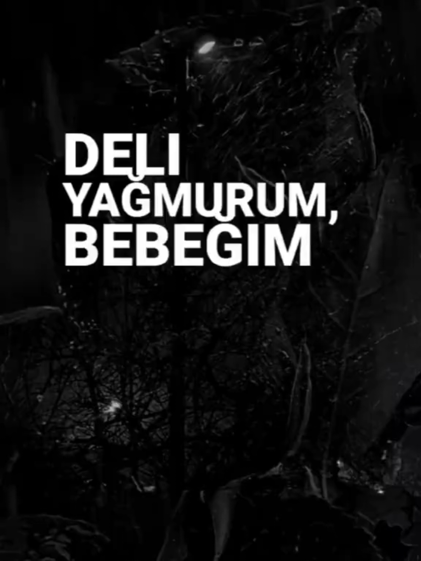 Deli gözyaşım🥀 Deli fırtınam, deli gözyaşım, deli yağmurum, bebeğim. Üşüdün yine, sakın titreme. Bırak üstünü örteyim #serdarortaç #serdarortac #yarayrıgayrınmıvar #yarayrigayrinmivar  #delifırtınam #pişmanlık  #deligözyaşım #gözyaşım  #deliyağmurum  #bebeğim #yağmur  #üşüdünyinesakıntitreme  #siyahbeyazask  @serdarortacyeni 