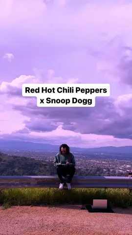 One of my favorite mixes from this year ✨ #snoopdogg #rhcp #mashup #mashups #djmashup #redhotchilipeppers 