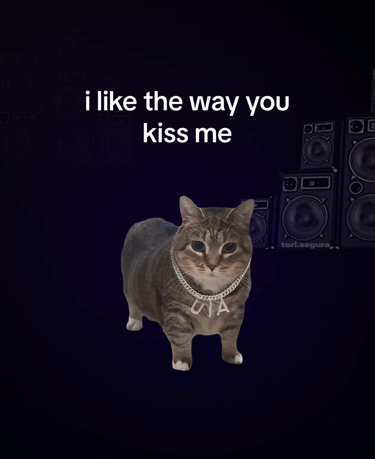 I like the way you i a 🗣️🗣️ @Artemas #cats #fyp #foryou #trending #ilikethewayyoukissme #uia 