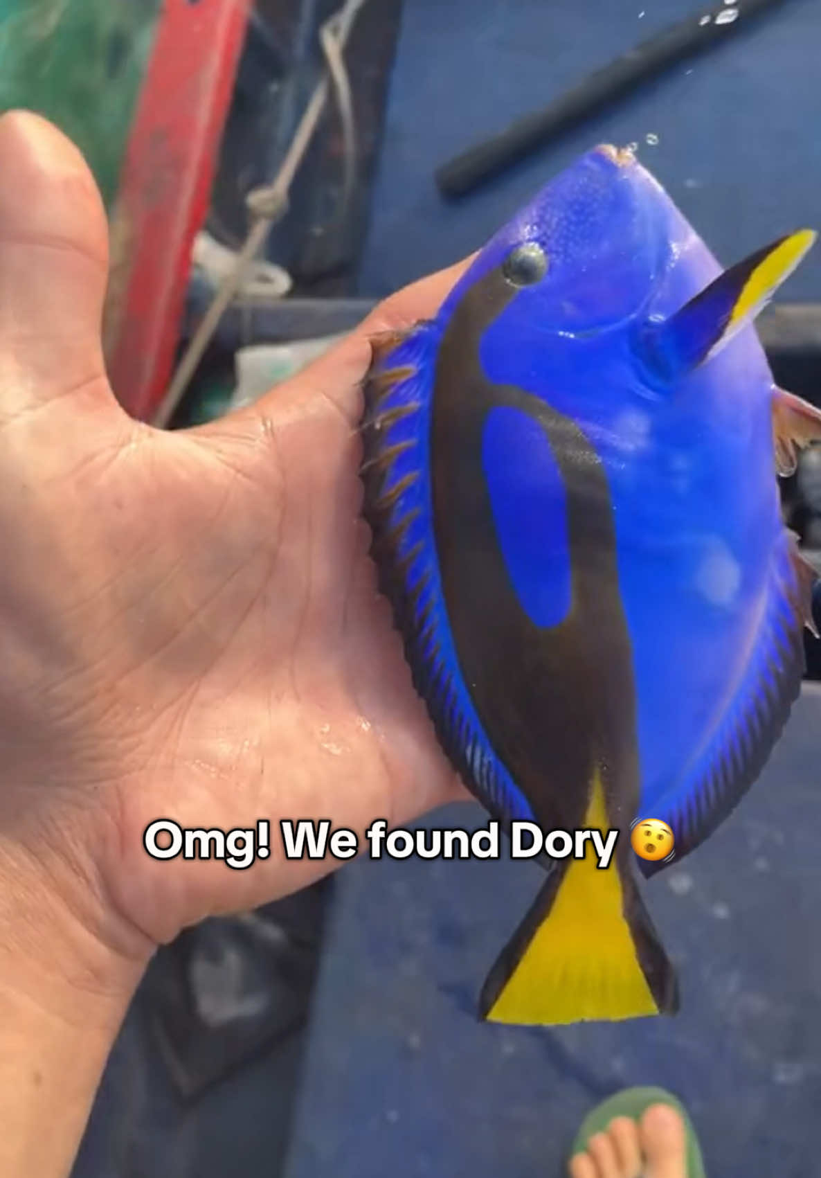 Omg 😨 #ocean #storm #northsea #dangerous #dory #job  #USA #AMERICA 