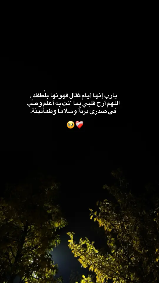 #💔😔 #💔🥀 #💔 #شعور_مؤلم #حزن #يارب_فوضت_امري_اليك #pov #🖤🥀 #fy #اللهم_امين 