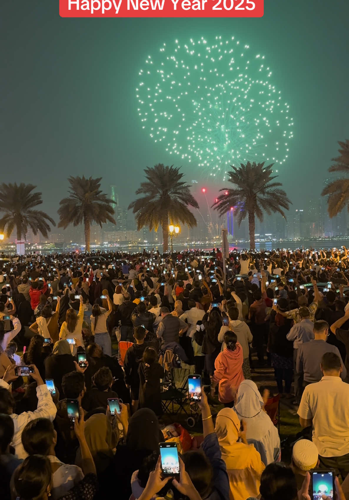 Happy New Year 2025 Fireworks Sharjah#happynewyear #fireworks #sharjah #dubai #foryou #fyp #viral #2025 