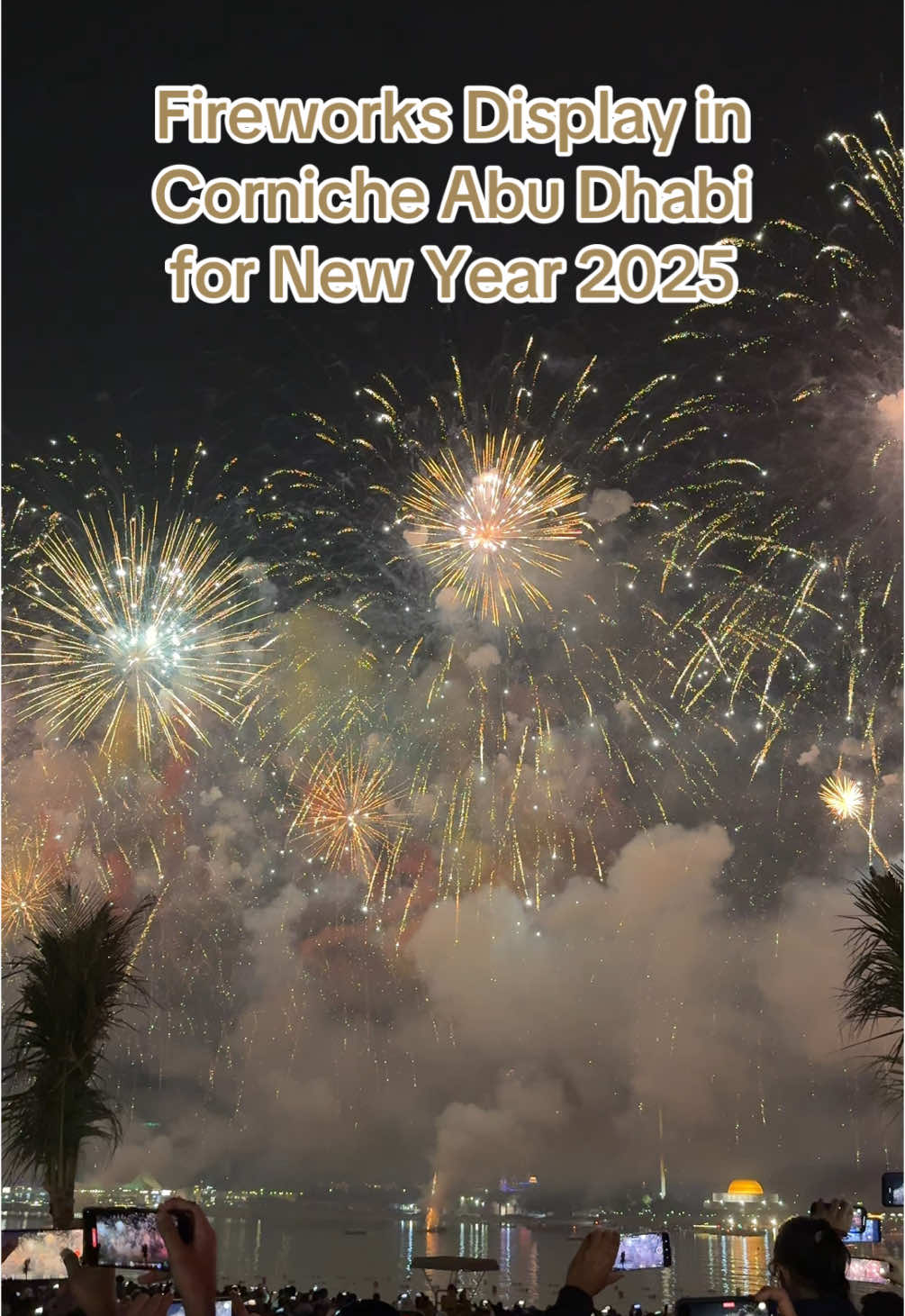 Happy New Year, Everyone! #newyear2025 #2025 #fireworks #abudhabi 