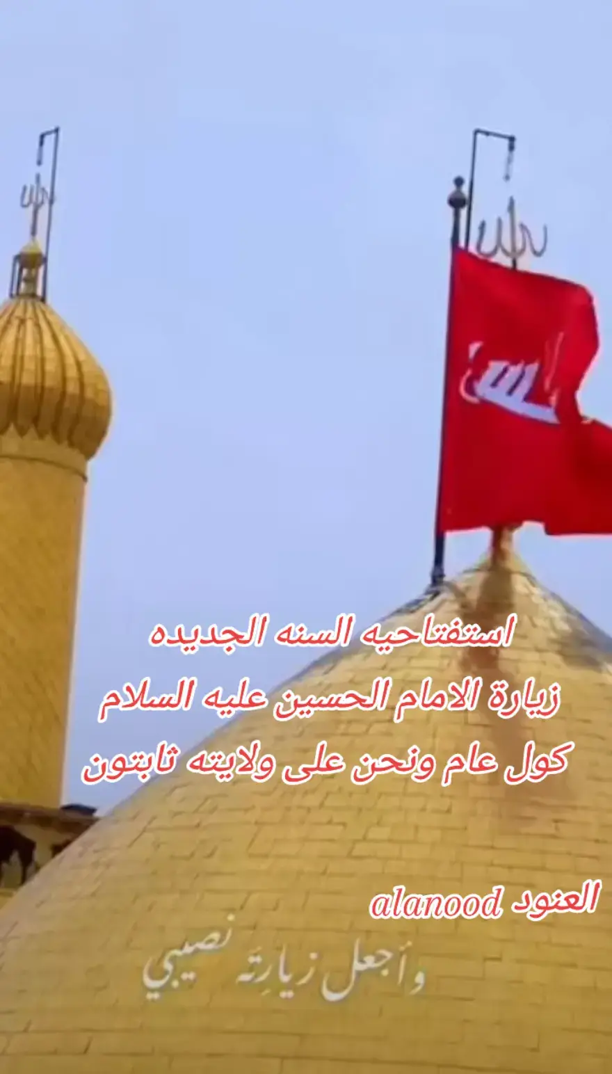 #السلام_عليك_يااباعبد_الله_الحسين #السلام_عليك_يا_ابا_الفضل_العباس_ع #السلام على زينب الحوراء جبل الصبر #fypシ゚ #tiktok #foryou #اكسبلور 