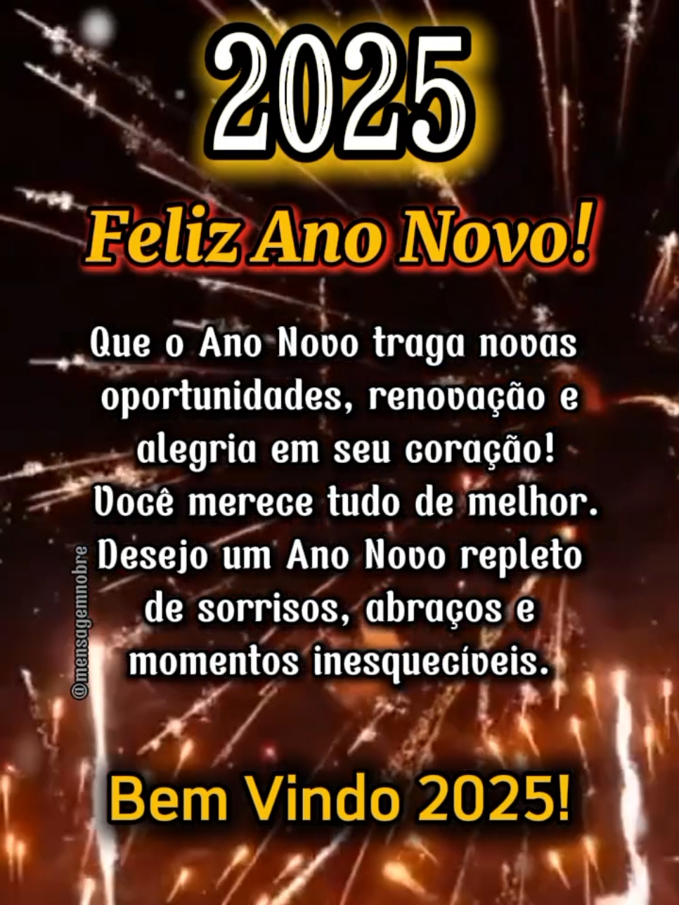 Feliz Ano Novo! #anonovo  #felizanonovo  #viradadeano  #2025  #feliz2025  #statusvideo  #novoano  #mensagem 