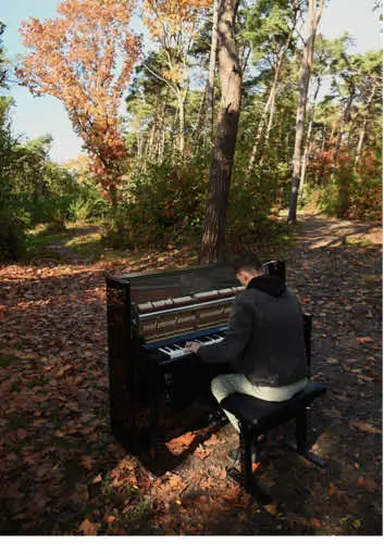 Performing on stage,  as well as finding peace and inspiration in nature. Processing emotions, imagination and experiences in daily life and translating it into music, our universal language.. I added some of my favourite nature and travel photographs I captured, to show you my imagination behind my songs.  Thank you everyone for following my journey, for all the love and encouragement. My goal is to inspire people and to make this world a better place, and I am so grateful I am able to do that. And I will keep doing that, in 2025 I will go on World Tour. I hope to meet you at one of my concerts! You can find more info about my tour in the link in my profile bio. Have a wonderful end of the year and a great start of 2025. Keep following your dreams and heart. And let’s stand together for Freedom  🤍👑🎹 Music: “Pulse”, my original work ~• #recap2024 #photography #pianist #artist #nature #travel #emotion #OnTour #jamesmalikey 