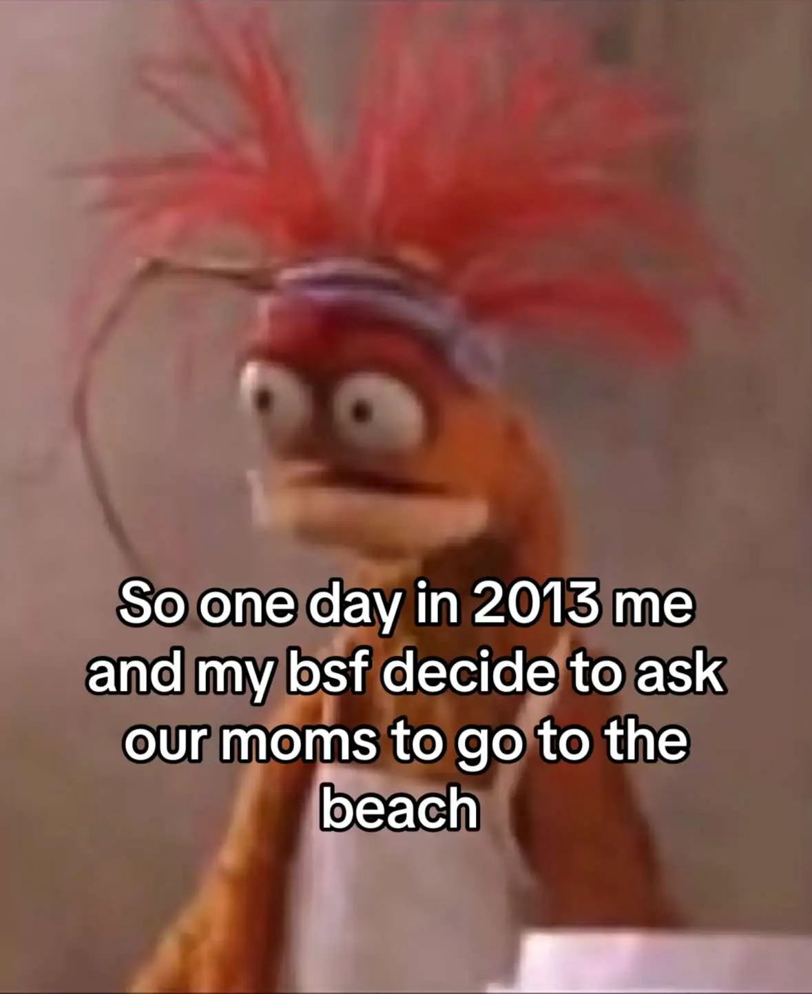 What can I say @KK #fyp #funny #muppets #beach 