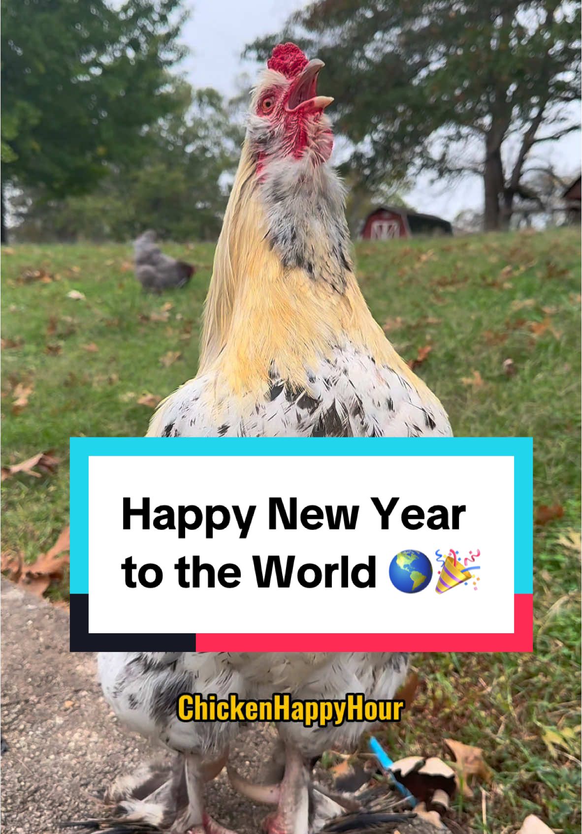 Happy New Year across the world! #happynewyear #felizañonuevo #felizanonovo #memestiktok #chickensoftiktok #rooster #funny #chickenhappyhour  