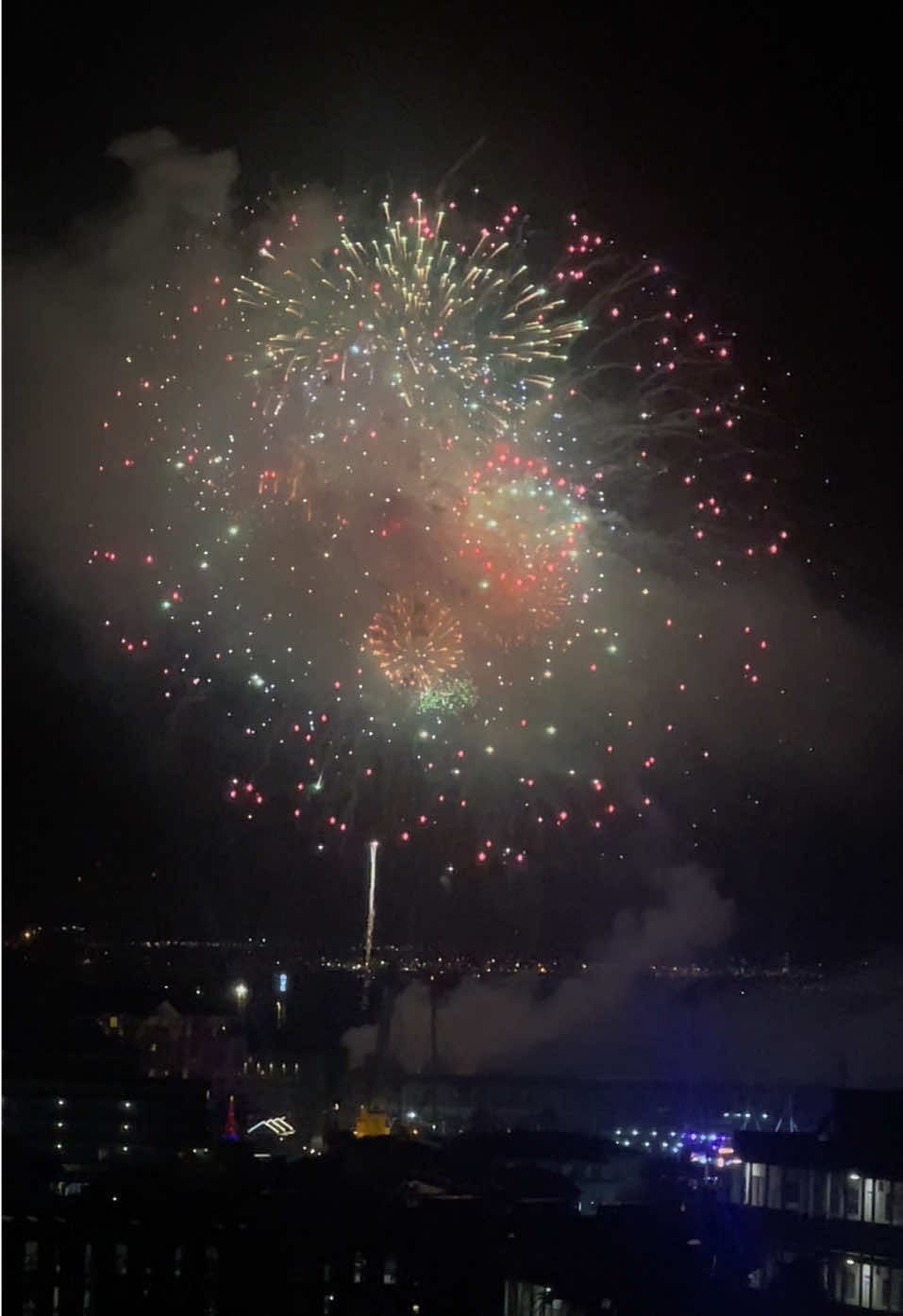 ✨Happy New Year✨ #2025 #capetown #waterfront #fireworks #newyear 