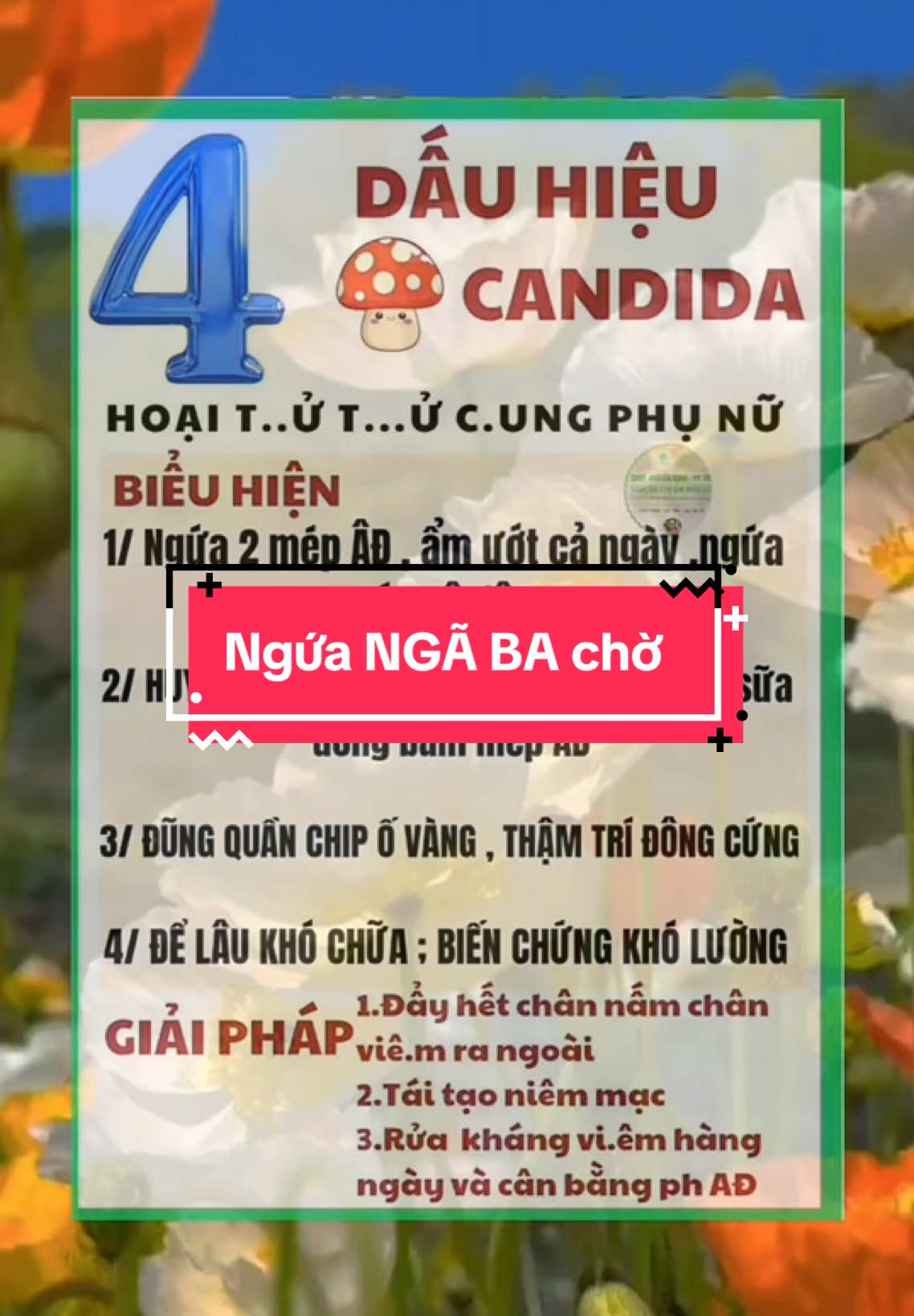 Nỗi khổ mang tên NGỨA NGÃ BA CHỜ. #namngua #namcandida #huongphukhoa #phunutuoi30 #xuhuong #viemphukhoa #detoxcobe #thinhhanh #xuhuongtiktok 