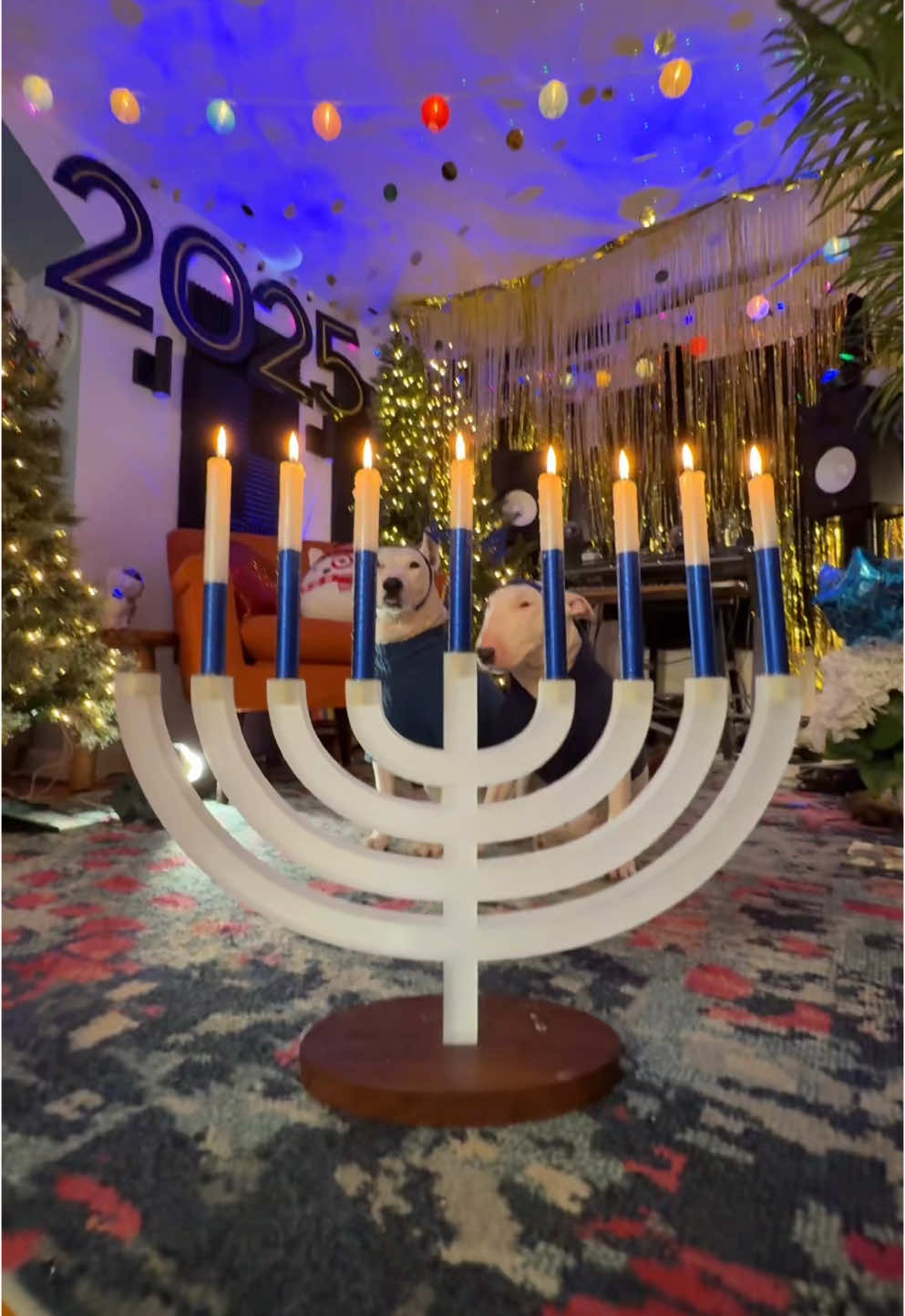 Happy 7th night of Hanukkah! #hanukkah #holidays 