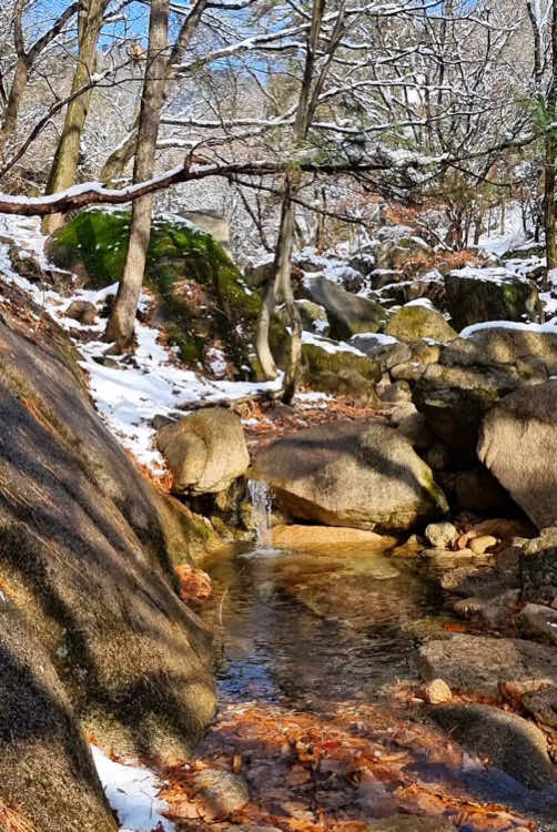 Calm valley ❄️💦 #naturevibes #nature #valley #forest #calm #calmdown #relax #livewallpaper #koreatravel #beautifulview 