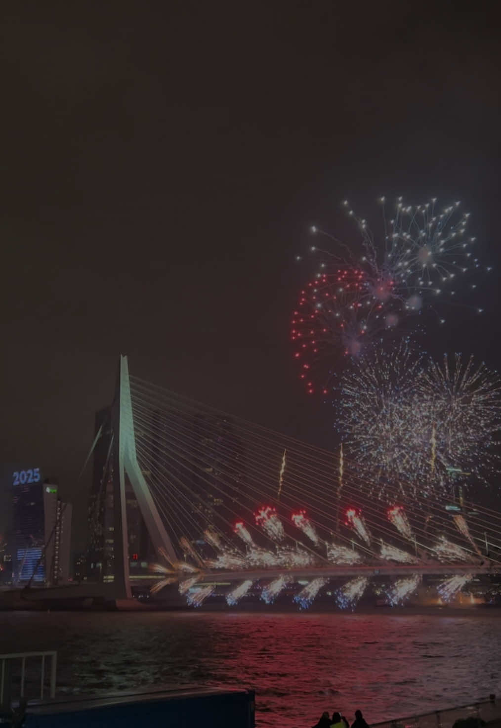 Happy new year🎇 #fireworks #rotterdam #happynewyear #2025