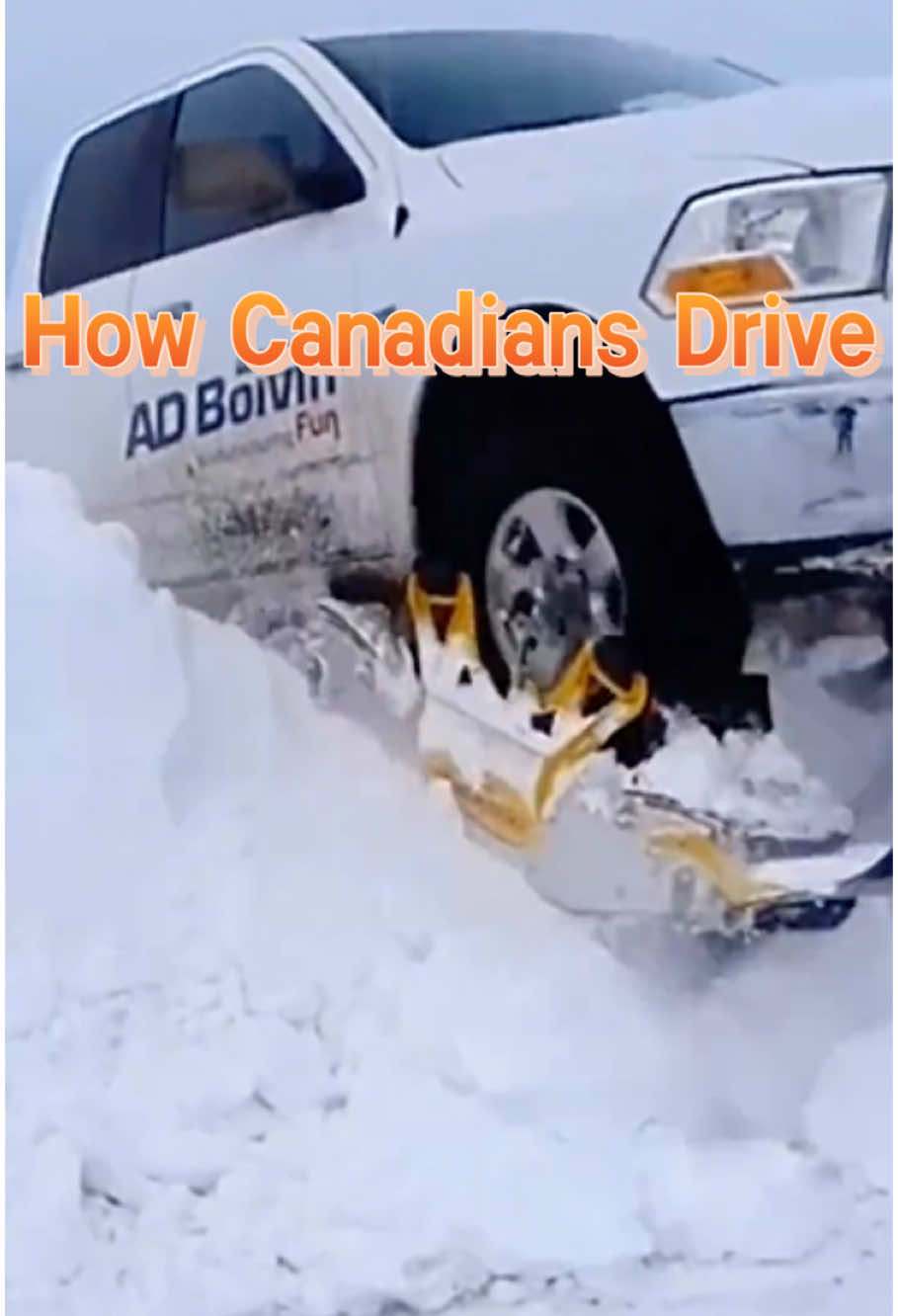 How Canadians Drive#knowledge #foreyoupage #tiktokviral #foryou #canadians 