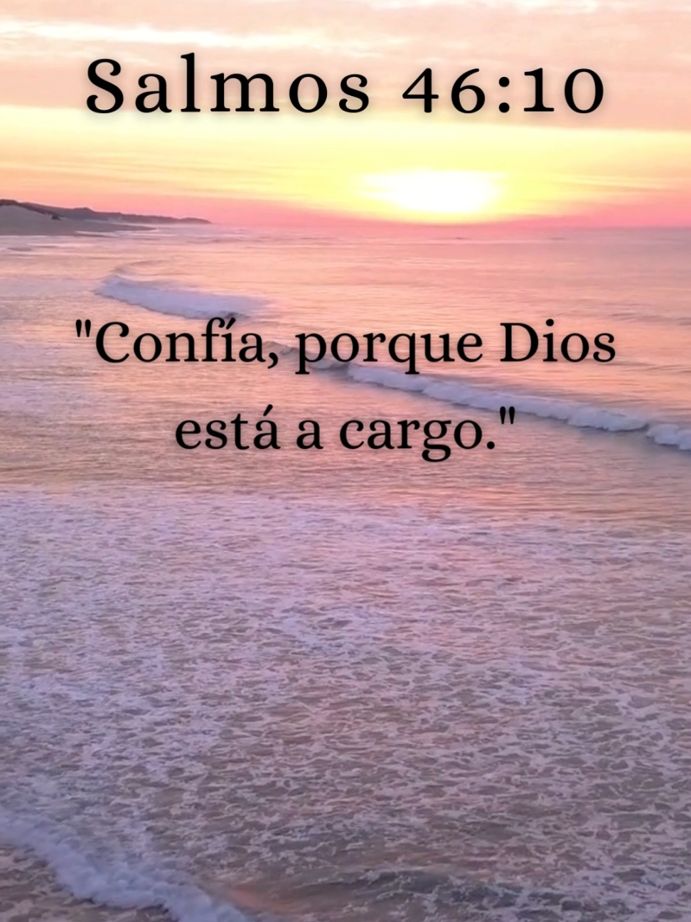 Sígueme y Dios te Bendecirá ✝️ #Dios #fe #esperanza #biblia #cristianos #inspiracion #mensajededios #palabradedios #confianzaendios #diostedicehoy #diosmeguia #diosesmiguia #diosesbueno #cartadedios #frasesmotivadoras #frases #frasesdeamor #frasesbonitas #frasesparareflexionar #usa #usa🇺🇸 #america 