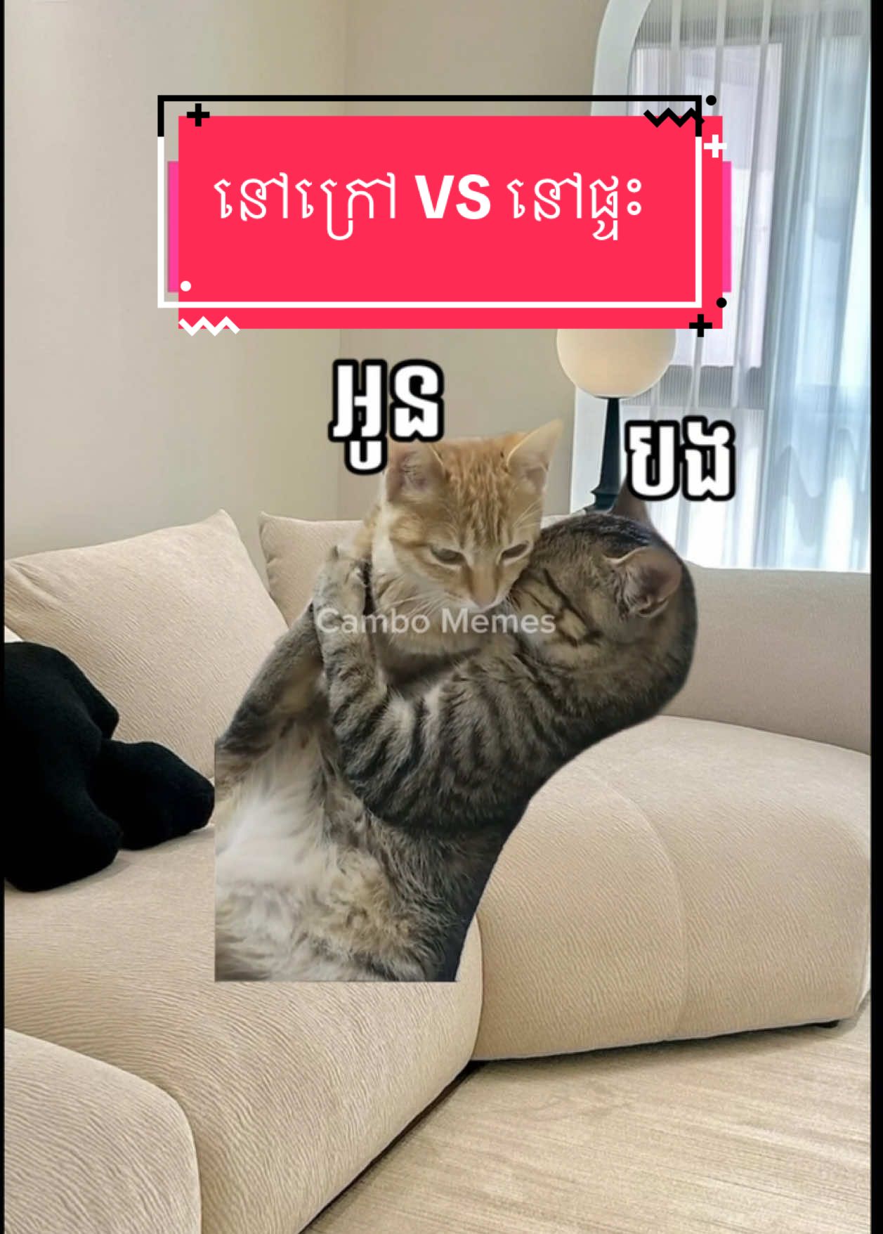 បងៗណាចឹងខ្លះចេញមុខម៉ោ 🙊 #CamboMemes #twocats #couple #meme #foryou #fypシ #capcut 