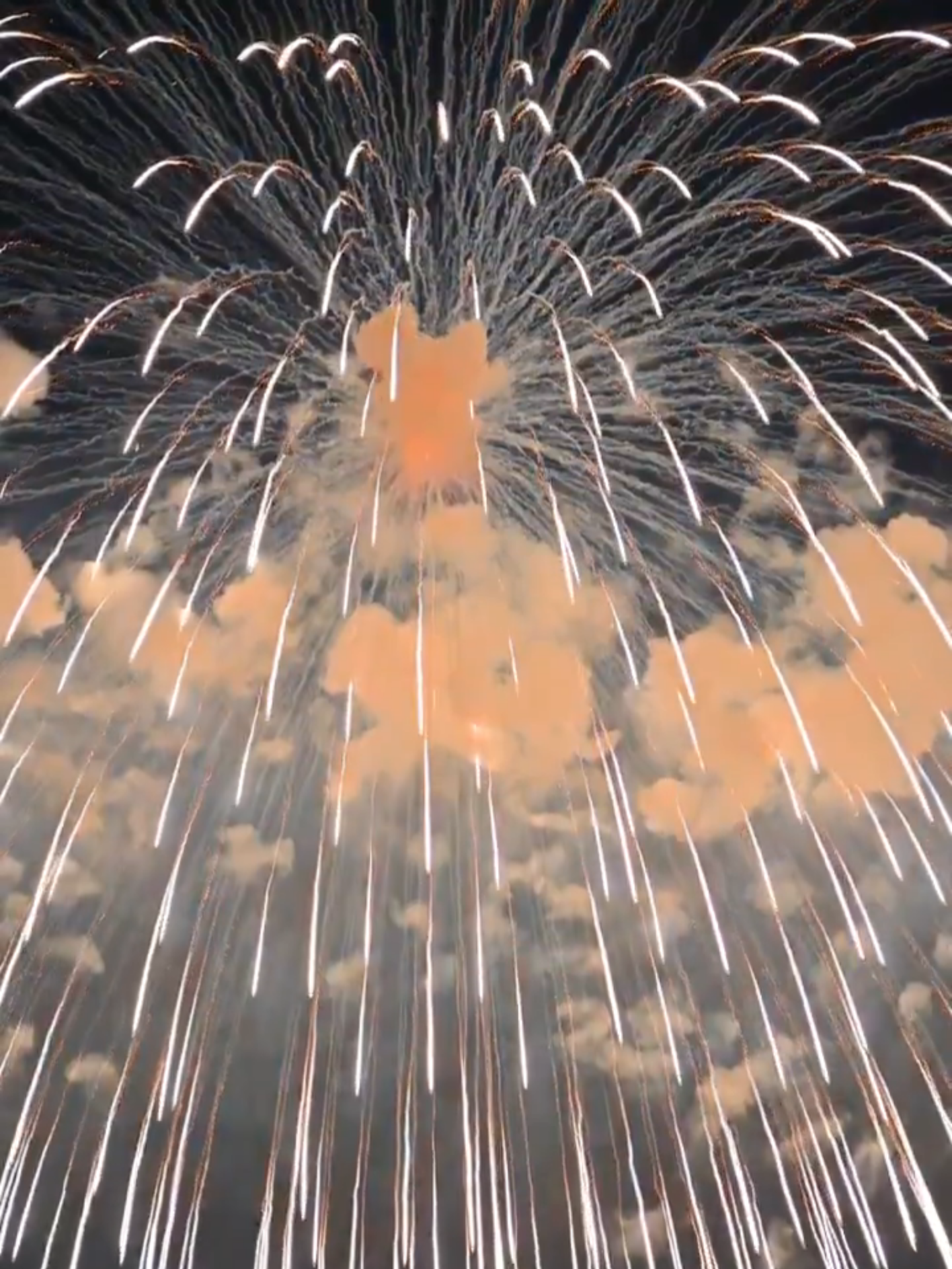 Japan #2025 #firework #fireworks #fireworkshow #fireworks2025 #celebration #happynewyear #happynewyear2025 #japan