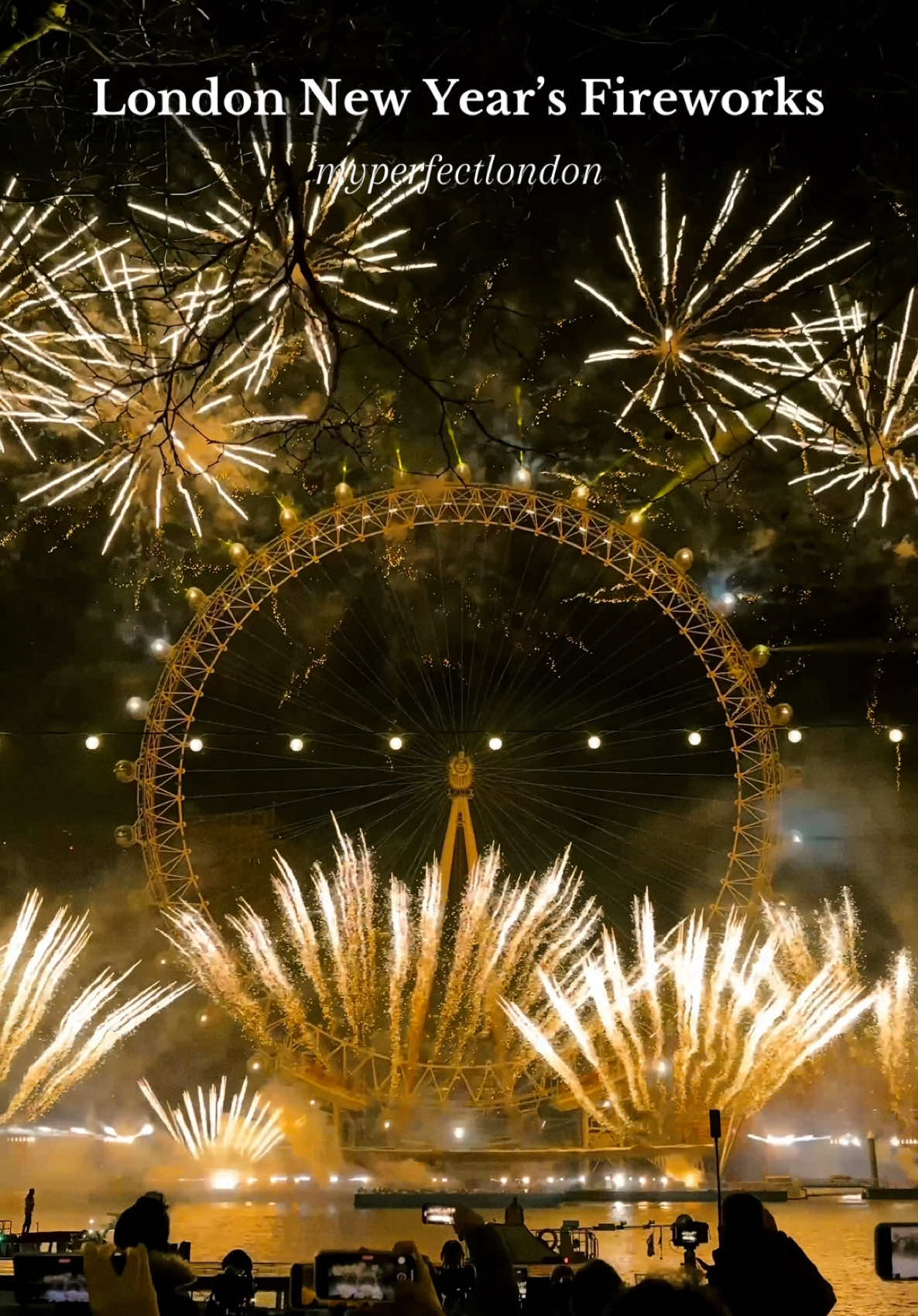 London New Year’s Eve Fireworks 🎡🇬🇧 #happynewyear #london #nye #fireworks #londoneye #newyearseve #happynewyear2025 #londonfireworks 