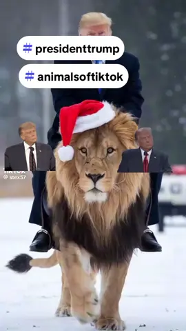 #viralvideo #amazing #foryoupage #fypシ ##viraltiktok #fyp #trend #80smusic #trump #maga #lion #elephant #dog #animal 