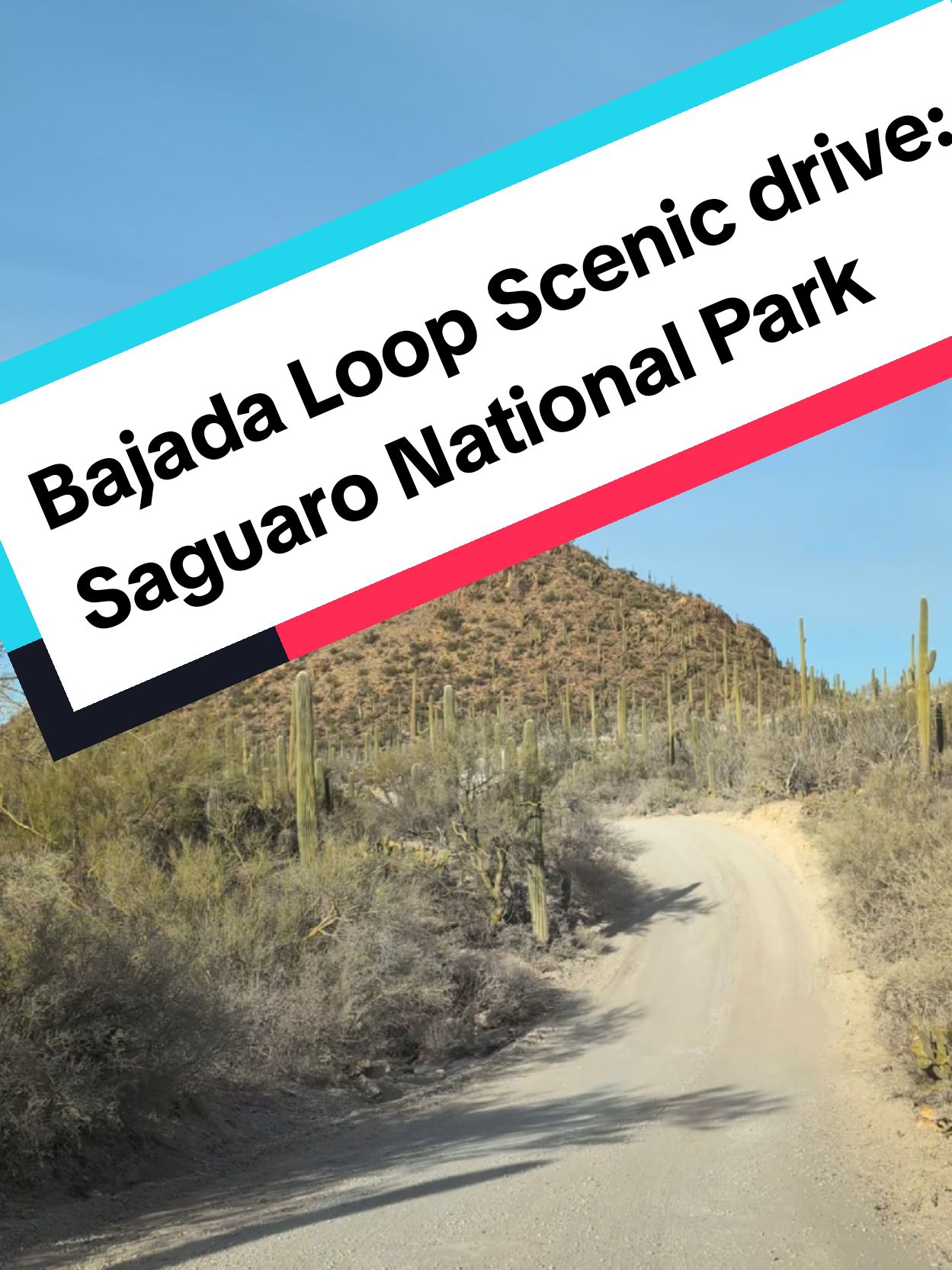 Scenic Bajada Loop Drive among Saguaros #saguaronationalpark #nps #travel #hikes #Outdoors #travel #roadtrips #scenicdrives 