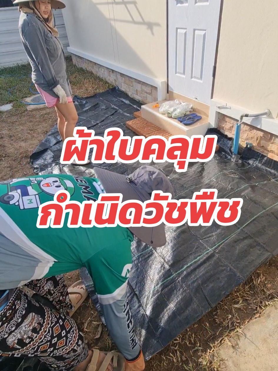ผ้าใบคลุมกำเนิดวัชพืช #พลาสติกคลุมดิน #ผ้าคลุมวัชพืช #ผ้าคลุมดินกันวัชพืช #ผ้ากำจัดวัชพืช #แต่งสวน #จัดสวน #จัดสวนเอง 