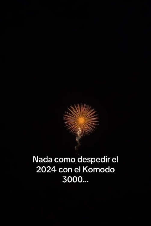 Quede ciego feliz año gente… ❤️🎄🙌🏻 #añonuevo #2024 #2025 #fyp #komodo3000