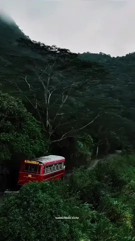pookkal pookkum tharunam tamil song  #tamilsong #travellingsongtamil #fy #tamilstatussongs #tamilsongs #nature #srilankatiktok #naturelover #lovenature #onmillion #travevideo #tamilstatussongs #tamilmusical_ly #tamilsongsstatus #travel #tamil #tamilbgm #travelbackgroundsong #triptravelsong #outdoorssongtamil 