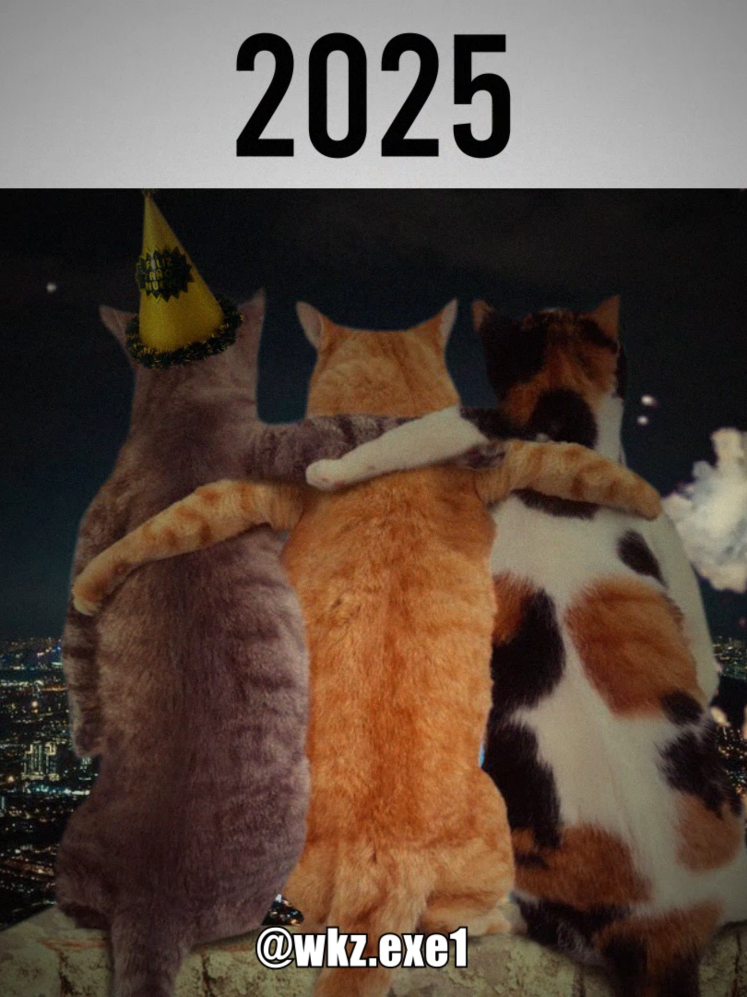 feliz año fans de tiktok 😁 #shitpost #cat #2025 #añonuevo #shitposting #dankmemes