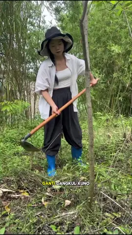 #cangkulrumputviral #cangkulrumput #pertanian #gulma #fyp 