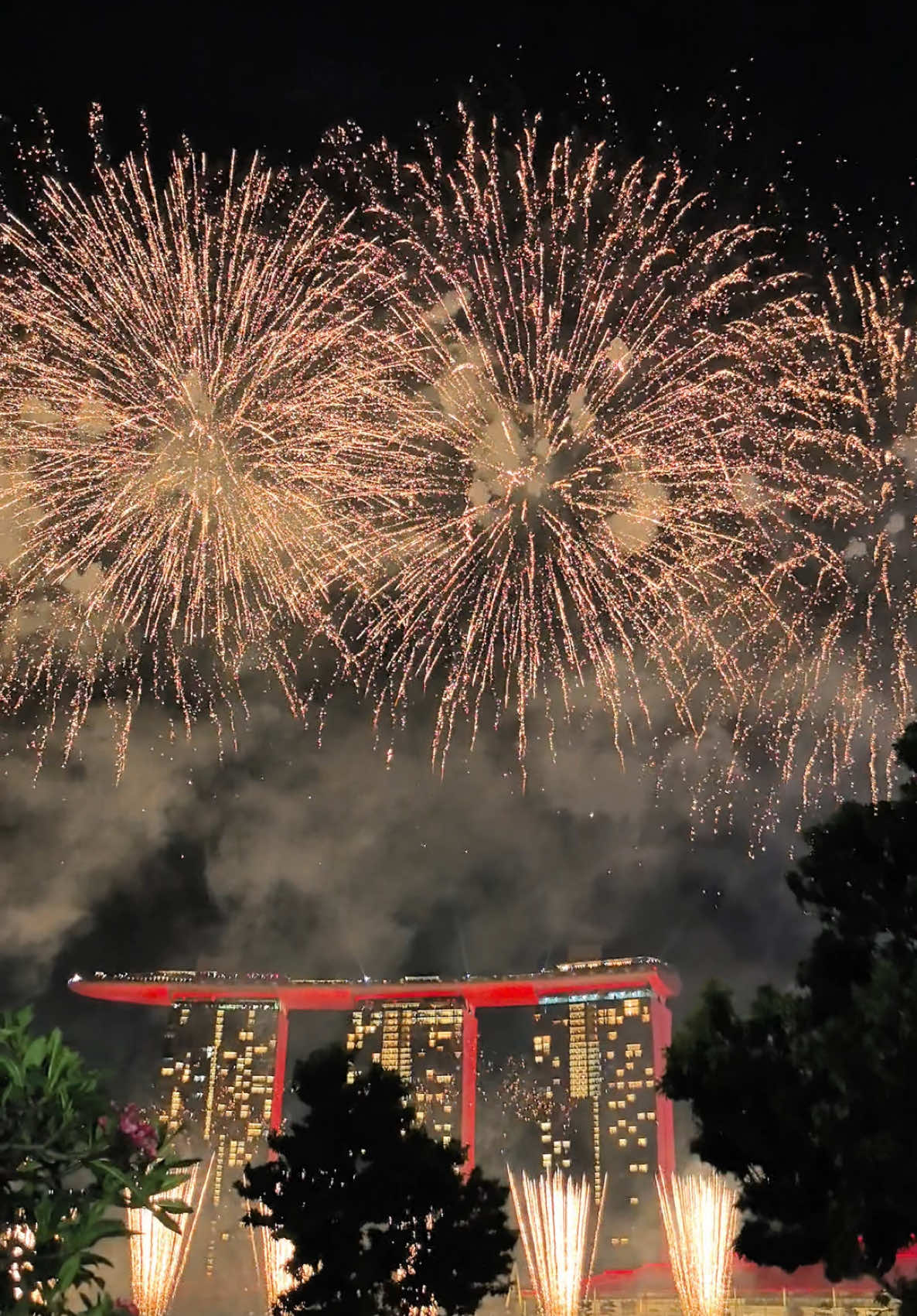 这盛世如你所愿🥂 Let’s make 2025 shine brighter than ever! 💫 #hello2025 #firework2025#firework#fireworksingapore #countdown #holidaycountdown#holidayvibes #merlion #marinabay #marinabaysingapore#2025 #newyearcelebration 